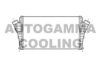 AUTOGAMMA 104044 Intercooler, charger